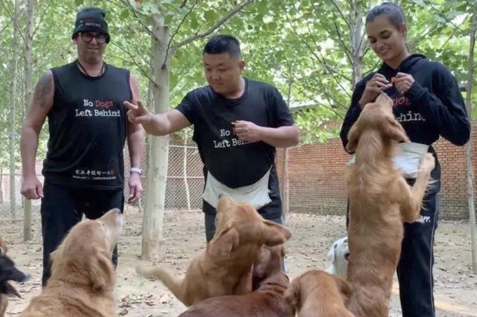 No Dogs Left Behind